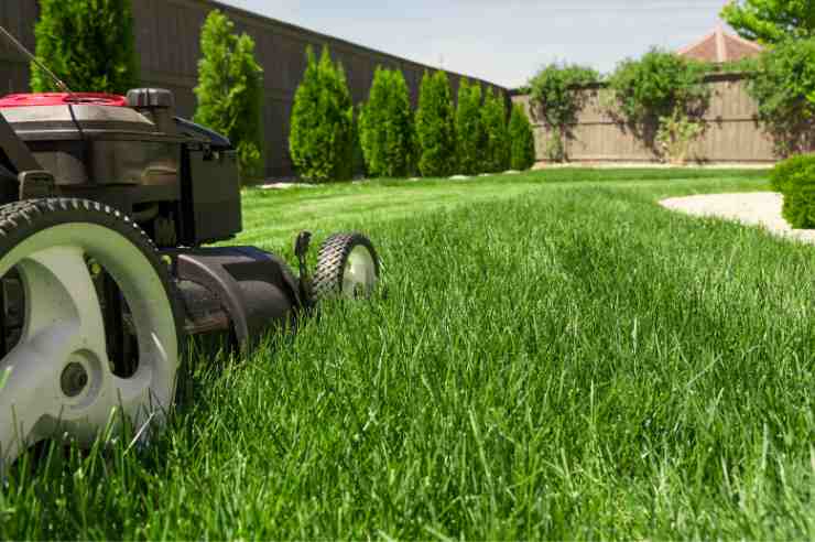 Horticulture Services